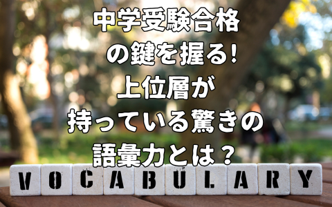 語彙力上位層のアイキャッチ